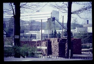 Zoo 23.4.66.
