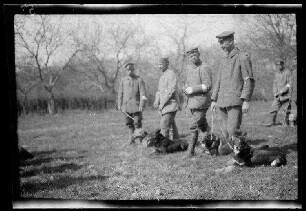 Nicht identifizierbare Gegend in Nordfrankreich oder Belgien: 4 Mitglieder einer Hundestaffel mit liegenden Hunden auf einem Feld (Seitansicht, Nahaufnahme)