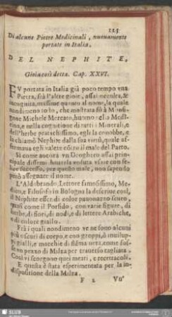 Cap. XXVI. Del Nephite, Gioia così detta