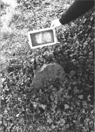 Grabstein 29 (Index: 100112232) Material: Sandstein Zustand: abgebrochen Maße HxBxT: 18x38x8 cm Beschreibung: Stele, Fragment Besonderheit: Fragment: Grabstein 29