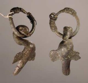 Ente mit Ring