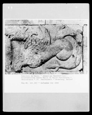 Drache
