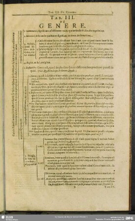 Tab. III. De Genere