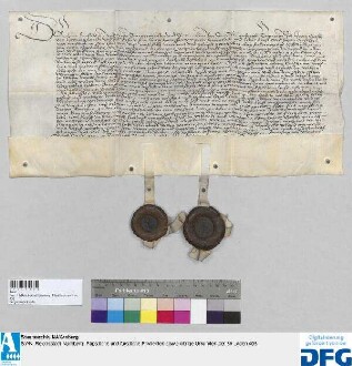 Heintz Gotsch von Hertwigswalde und Vrsula, dessen Ehefrau, verzichten gegenüber Bürgermeistern und Rat der Stadt Nürnberg auf alle Ansprüche an die Hinterlassenschaft Frantz Waltstromers, ihres Schwiegervaters und Vaters, insbesondere auch bezüglich der 3000 fl., welche der Rat den Waldstromern von Prackenfels bezahlt hat. - Siegler: Heintz Gotsch und Hynko Meinholt (für dessen Ehefrau).