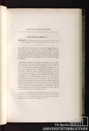 Traité des arbres fruitiers. Chancellière, Duh. Persica cancellaria, flore magno ; glandulis foliorum globosis; fructu magnitudinis mediae, paululum depresso, dilutè rubente, serotino.