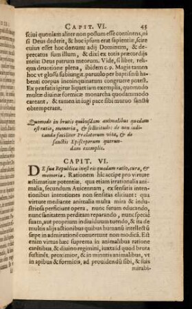 45-95, Capit. VI. - Capit. XII