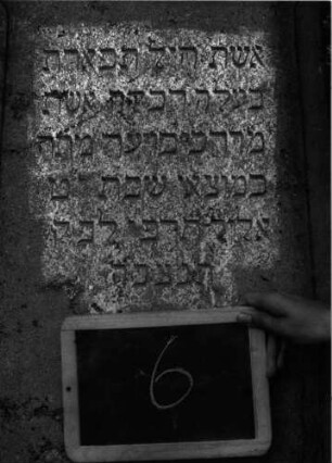 Grabstein 6 (Index: 100100984) Material: Kalkstein Zustand: leicht verwittert Maße HxBxT: 189x56x23 cm Beschreibung: Stele, getreppter Sockel, Rundbogenabschluß Symbolik: Davidstern: Grabstein 6A