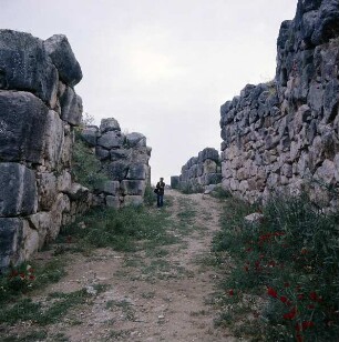 Tiryns. Reste der Burg