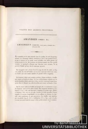 Traité des arbres fruitiers. Amandier commun. Duh. Amygdalus communis, fructu parvo, putamine duro, embryone dulci.