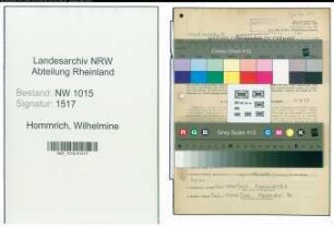 Entnazifizierung Wilhelmine Hommrich , geb. 16.07.1890 ()