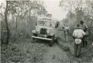 Trockener Wald auf dem Weg zwischen der Fazenda Arara und Santo Antônio
