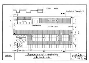 Liegeboxenstall - dreireihig mit Nachzucht