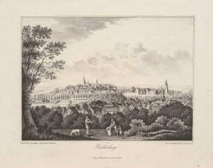 Stadtansicht von Waldenburg in Sachsen von Südosten über die Zwickauer Mulde gesehen, rechts das Schloss