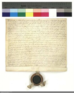 Revers der Brüder Johann Philipp und Adalbert Friedrich von Rosenbach bezüglich der Belehnung mit Schackau und weiteren im Einzelnen aufgeführten Lehen durch Heinrich [von Bibra], Bischof und Abt von Fulda