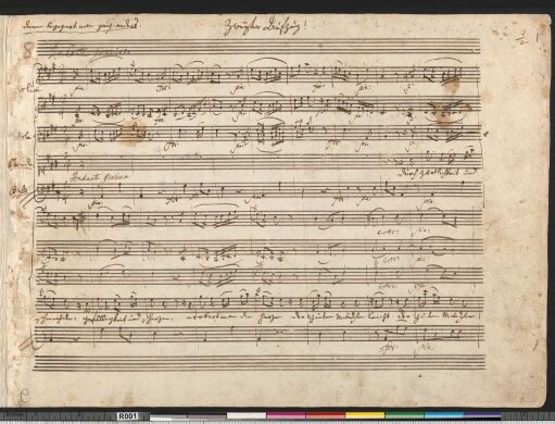 No. 8. [Aria:] Durch Zärtlichkeit und Schmeicheln