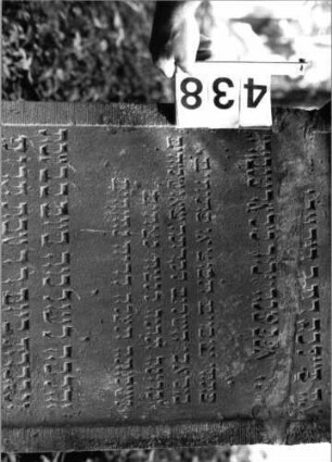 Grabstein 438 (Index: 99803713) Material: Sandstein Zustand: gebroch/Textverl/unten abgesplittert Maße HxBxT: 133x56x9 cm Beschreibung: Sockel, Stele mit verdacht. Rundbogen, profiliert. Rand/Giebelfeld Besonderheit: Endreim: Grabstein 438 (Detailaufnahme)