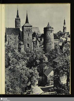 5 Alte Wasserkunst, Michaeliskirche und Petridom