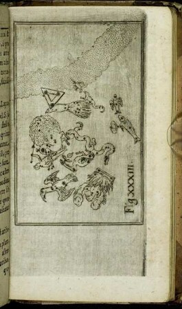 Fig. XXXIII.