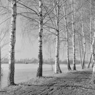 Landschaftsbild. Frühling im Spreewald. Leiper Weg. Heuschober. Die Wiesen sind überschwemmt. : Wobraz krajiny. Nalěćo w Błótach. Puć w Lipjem. Kopjena (Stogi). Łuki su přepławjene.