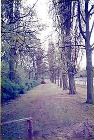 Hansjakob, Gottfried; Bonn - Rheinaue; Generaldirektion der Deutschen Post AG - 'Südliche Pappelallee, Blickrichtung von Charles de Gaulle Str. zur Kurt-Schumacher-Str.'