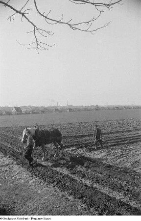 Ein Pferd zieht einen Pflug