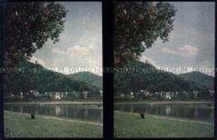 Blick auf die Stadt Traben-Trarbach an der Mosel