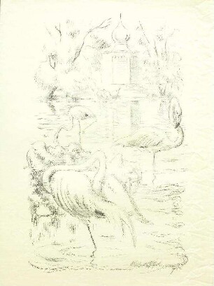 Flamingos