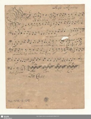 Basso in Ripieno [nur Cantata "Was du tust"]
