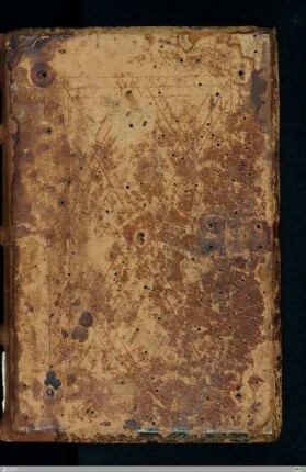 Evangeliar - Cod.bibl.qt.39