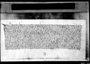 Der Hofrichter zu Rottweil gebietet 14 Städten, den Grafen Eitelfritz von Zollern in den ihm von Volkart von Ow abgetretenen Rechten auf die Güter des Grafen Friedrich d. Ä. zu schirmen.