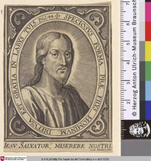 Iesu Salvator, Miserere Nostri