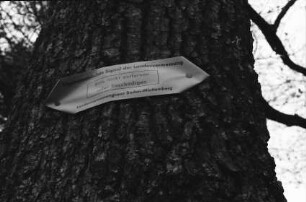Freiburg: Schild am Baum