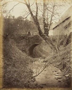 Mittelgrundstudie: Waldinneres: Brücke mit unbelaubtem Nussbaum