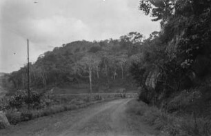 Straße : Blick auf einen Abschnitt der Straße von Ebolowa nach Lolodorf.