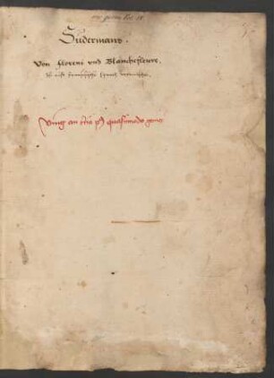 Flore und Blanscheflur : Ms. germ. fol. 18
