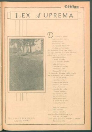 Lex suprema