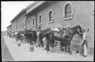 Oschatz. K.S. 1.Ulanen-Regt. No. 17 - Beim Stalldienst