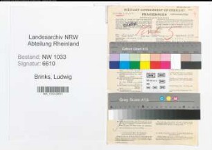 Entnazifizierung Ludwig Brinks , geb. 24.03.1894 (Polizeibeamter)