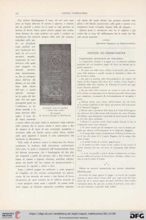 Notizie ed osservazioni