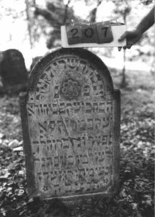 Grabstein 207 (Index: 99800007) Material: Sandstein Zustand: verwittert, gesprungen Maße HxBxT: 90x56x9 cm Beschreibung: Stele, eingezogener Rundbogenabschluß, Schriftfeld eingetieft Symbolik: Rosette: Grabstein 207