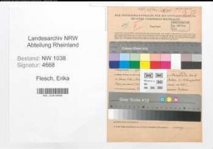 Entnazifizierung Erika Flesch , geb. 11.01.1910 (Lehrerin)