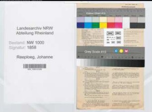 Entnazifizierung Johanne Reeploeg, geb. 12.09.1901 (Verw.Gehilfin)