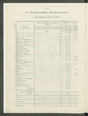 XIV. Bewilligte Invaliden- und Altersrente 1906.