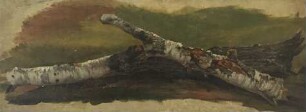 Liegender Baum