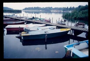 Spree b. Rahnsdorf 17.9.87.