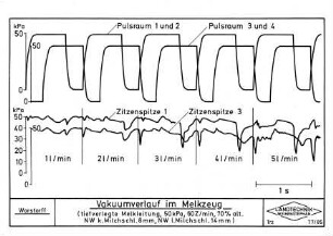 Vakuumverlauf im Melkzeug (tiefverlegte Melkleitung, 50 kPa, 60 Z/min, 70 % alt. NW k. Milchschl. 8 mm, NW l. Milchschl. 14 mm)