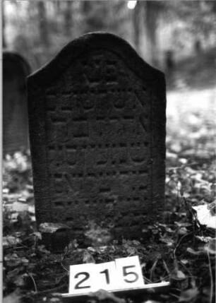 Grabstein 215 (Index: 99803294) Material: Sandstein Zustand: unten verwitt/eingesunken Maße HxBxT: 56x36x10 cm Beschreibung: Stele mit Karniesbogen und profiliertem Rand: Grabstein 215
