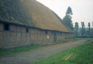 Blumendorf: Gut: Fachwerkscheune mit Reetdach: Traufseite