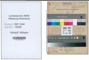 Entnazifizierung Wilhelm Schauff , geb. 09.02.1899 (Bahnsekretaer)