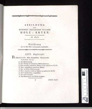 Erklaerung der im IIten Hefte vorkommenden Kupfertafeln